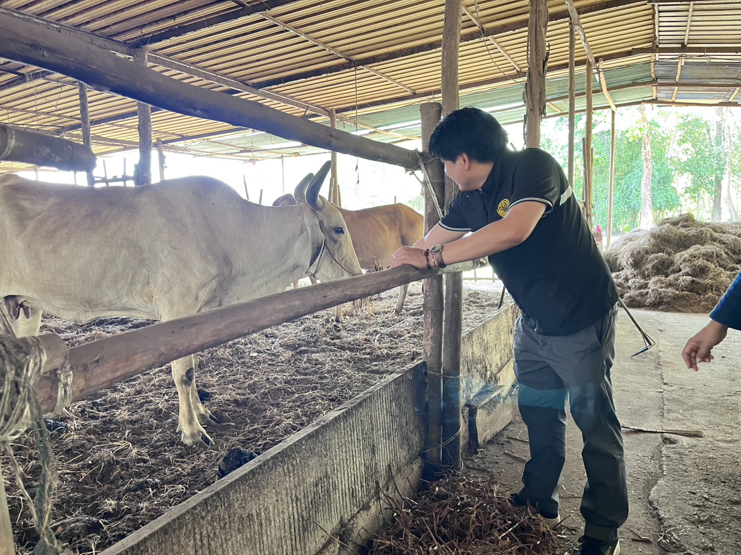 title - วันอังคารที่ 31 มีนาคม 2569 นายวิทูล ประดิษฐบุญ ปฏิรูปที่ดินจัังหวัดปราจีนบุรี พร้อมด้วย เจ้าหน้าที่ ส.ป.ก.ปราจีนบุรี เข้าร่วม กิจกรรมเปิดโครงการ Kick off การใช้ประโยชน์ จากฟางข้าวตาม 